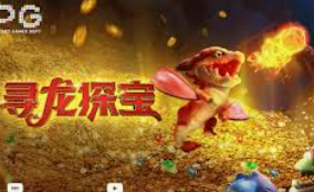 pg赚钱网站2024最新版